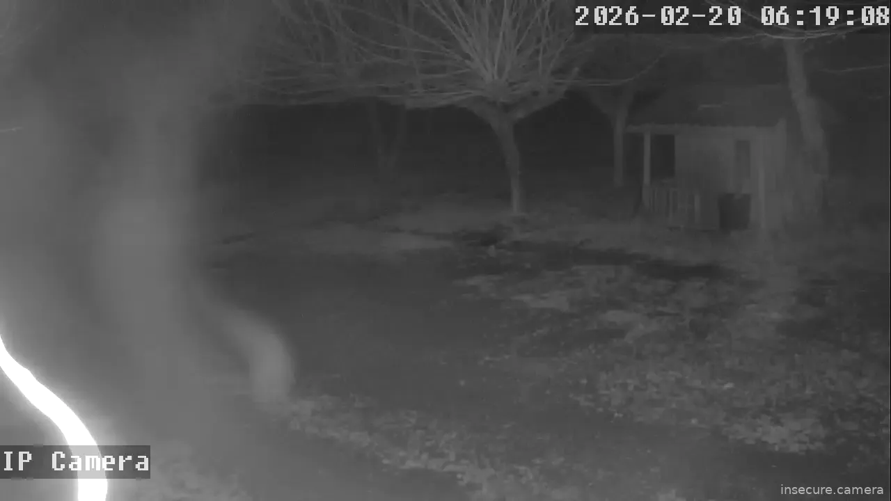 Capture from Feb 19, 2026 at 10:19 PM