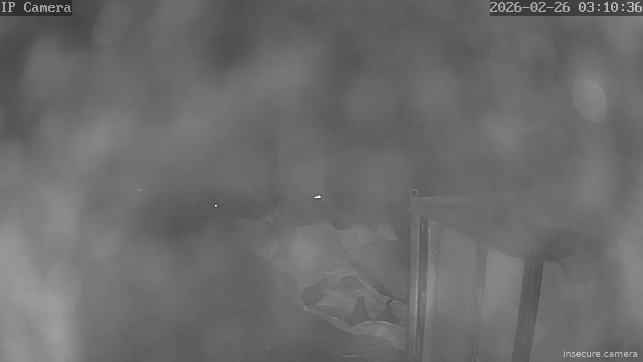 Capture from Feb 25, 2026 at 06:10 PM