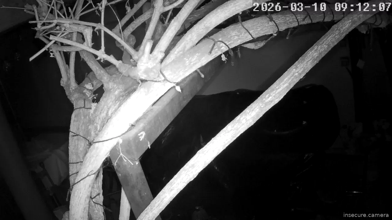 Capture from Mar 10, 2026 at 01:12 AM