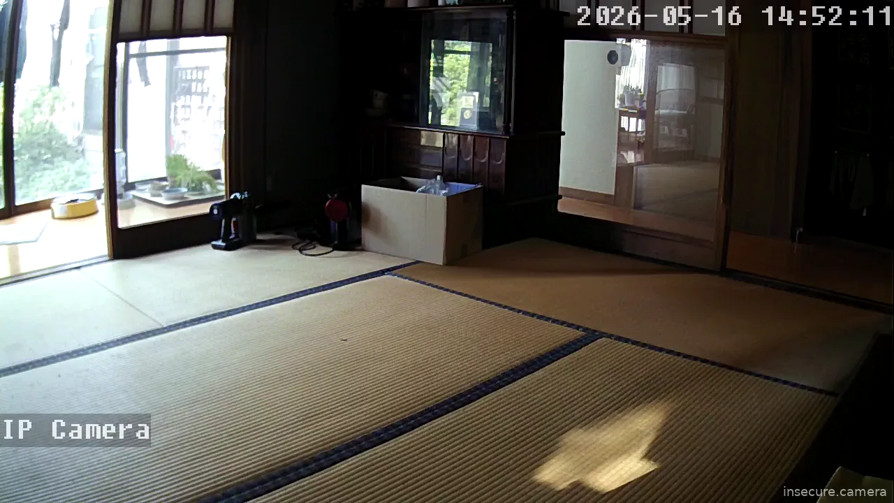 Camera in Japan