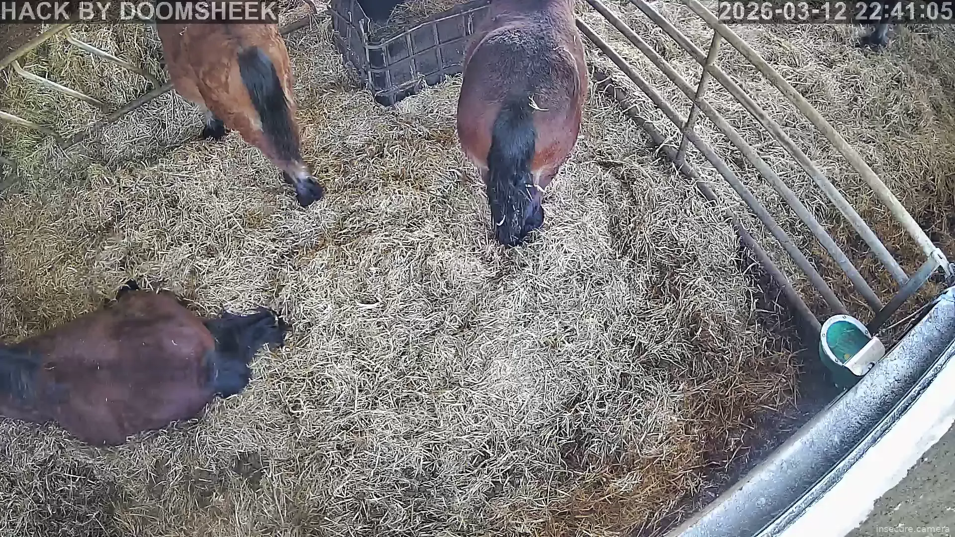 Capture from Mar 12, 2026 at 02:41 PM