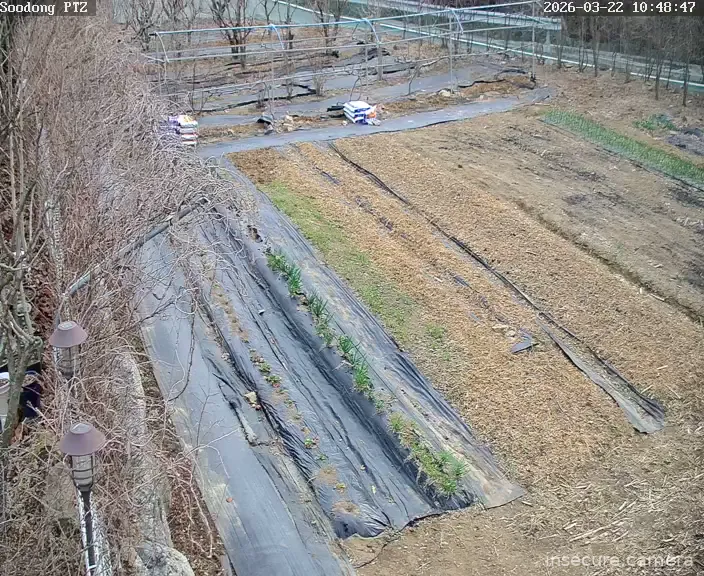 Camera in South Korea