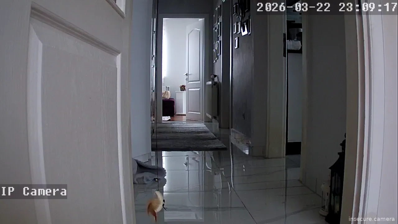 Capture from Mar 22, 2026 at 03:09 PM