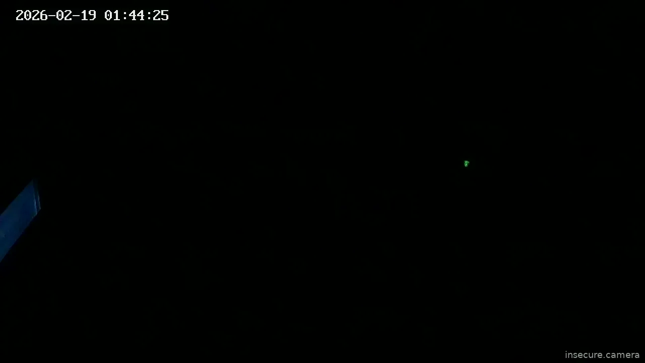 Capture from Feb 19, 2026 at 01:44 AM