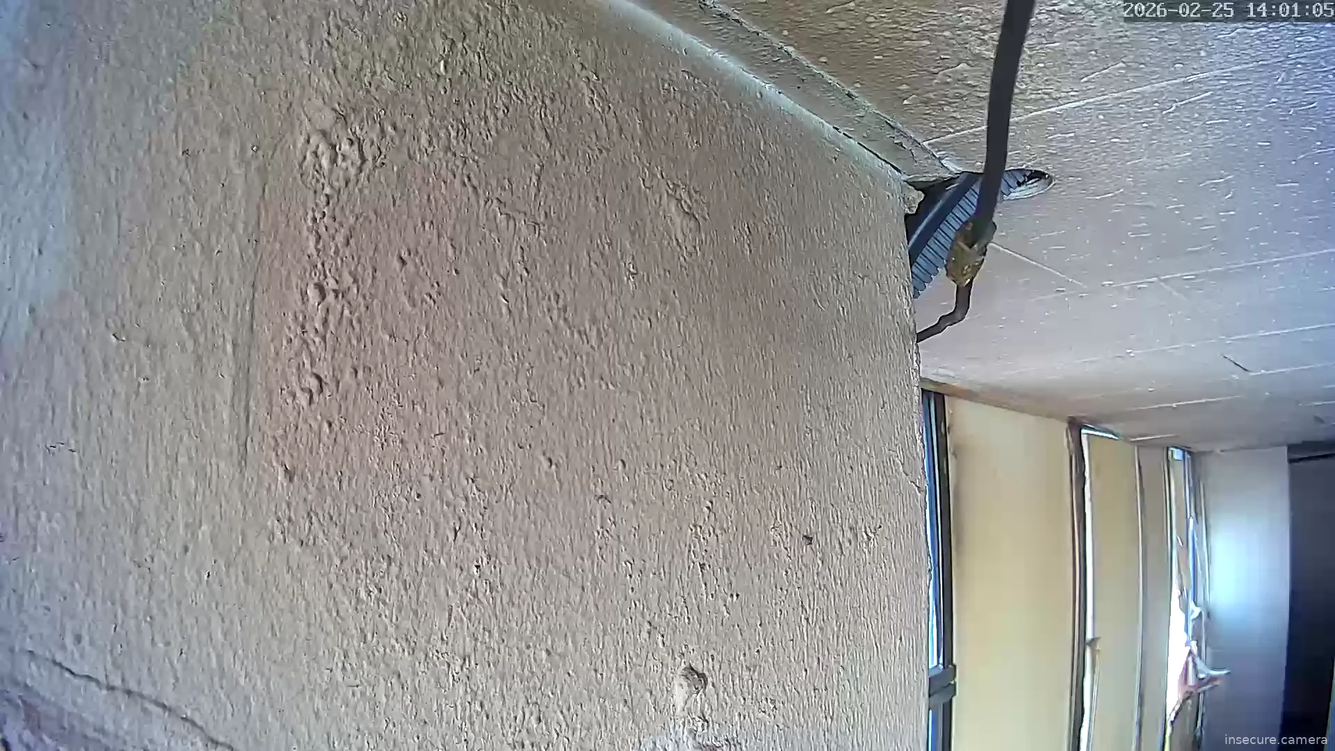 Capture from Feb 25, 2026 at 05:01 AM