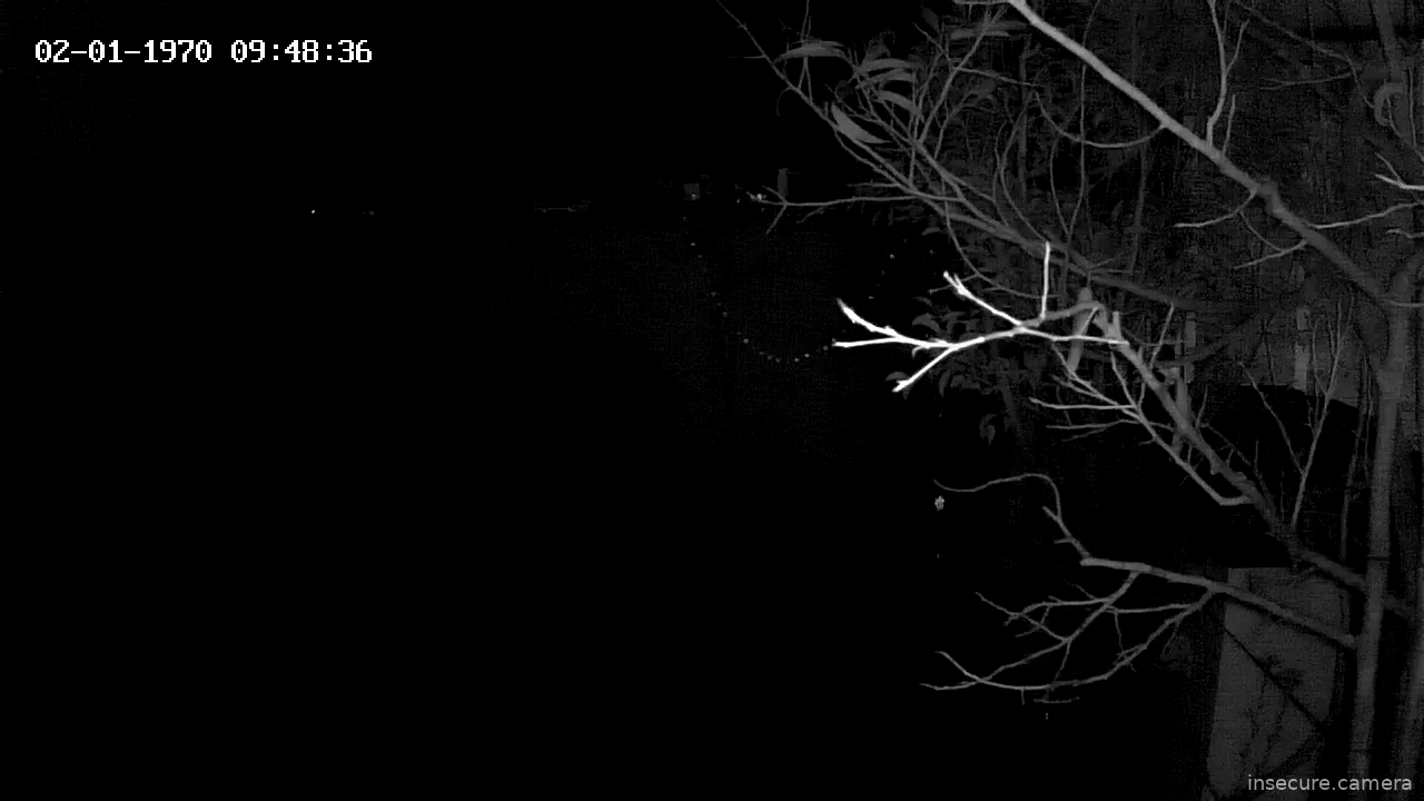 Capture from Mar 17, 2026 at 04:07 AM