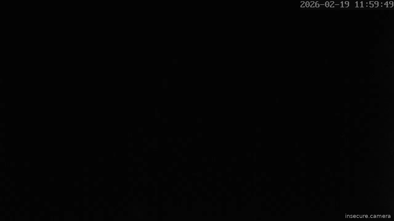 Capture from Feb 19, 2026 at 04:00 AM