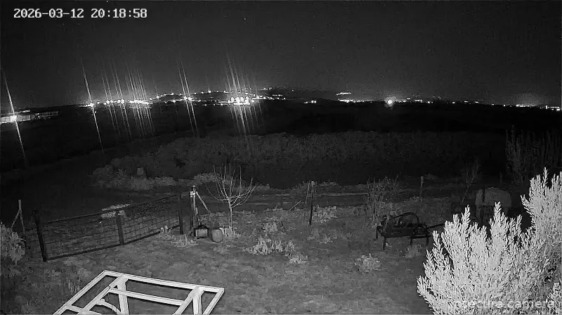 Capture from Mar 12, 2026 at 05:19 PM