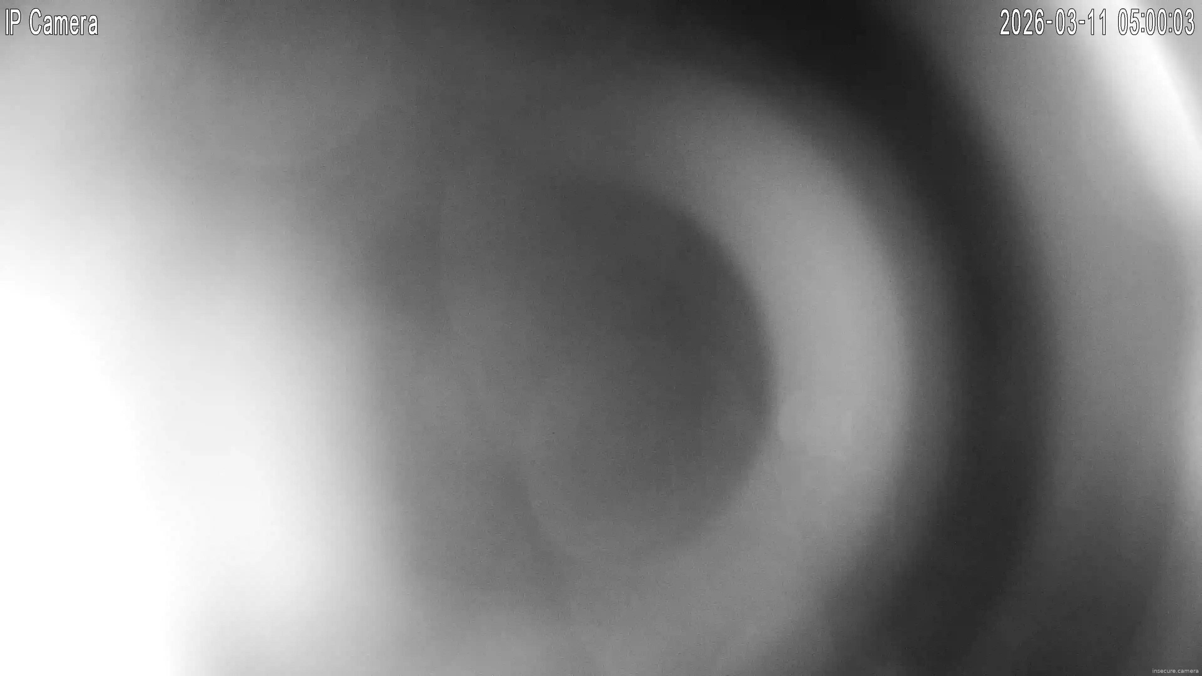 Capture from Mar 11, 2026 at 04:00 AM