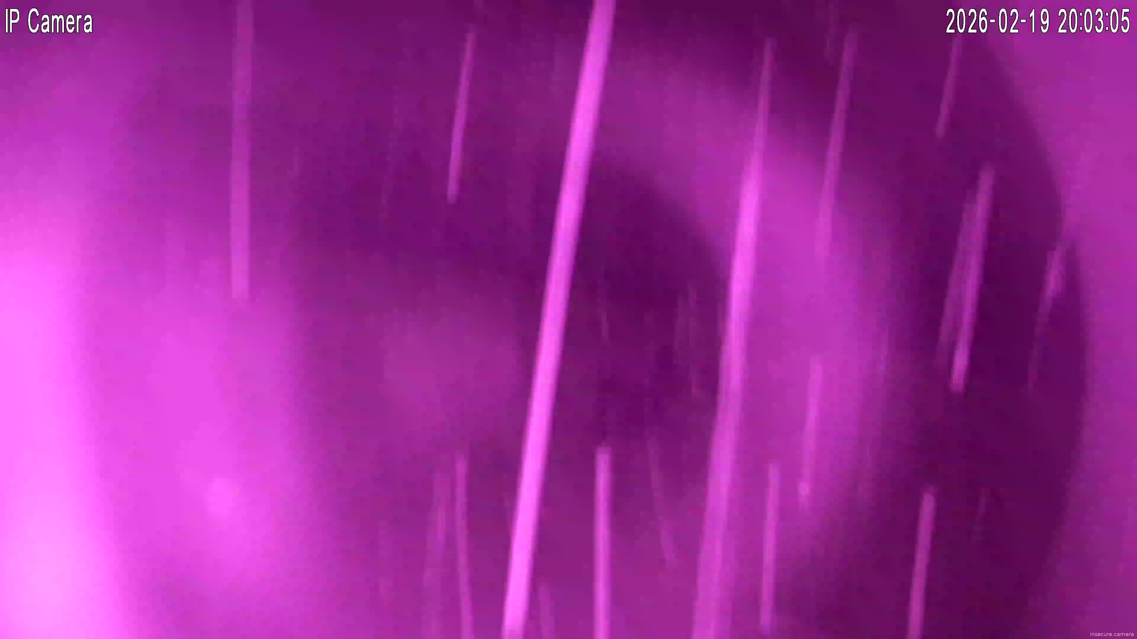 Capture from Feb 19, 2026 at 07:03 PM