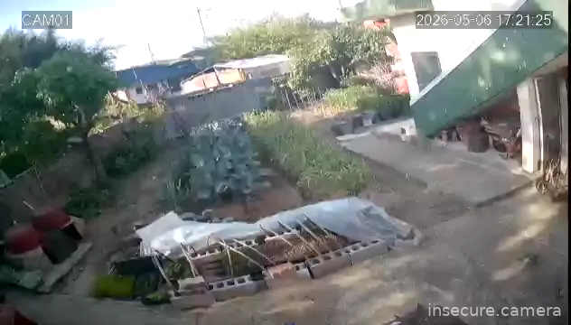 Camera in South Korea