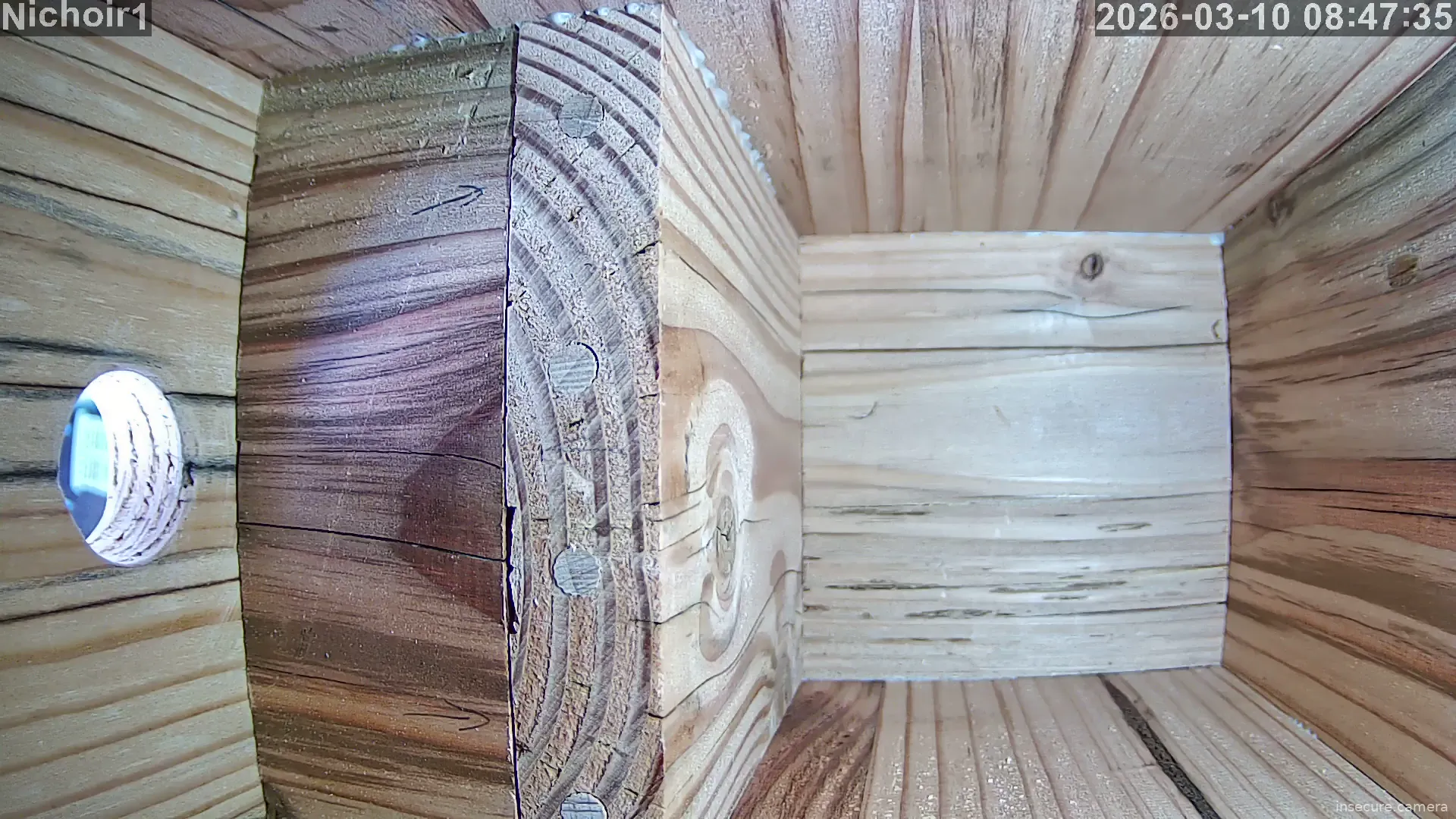 Capture from Mar 10, 2026 at 07:47 AM