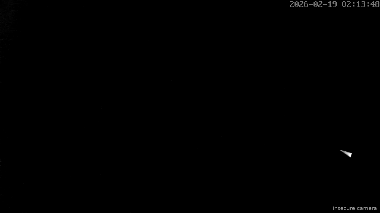 Capture from Feb 19, 2026 at 01:14 AM