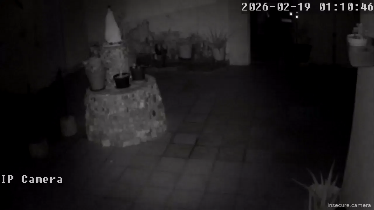 Capture from Feb 19, 2026 at 01:11 AM