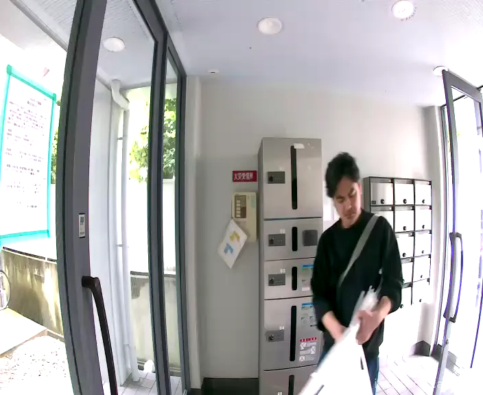 Camera in Japan