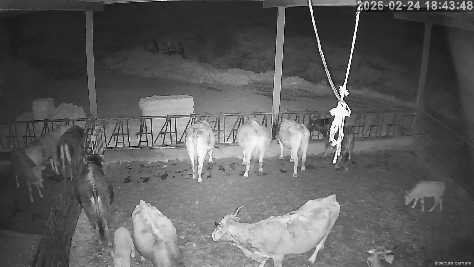 Capture from Feb 24, 2026 at 06:44 PM