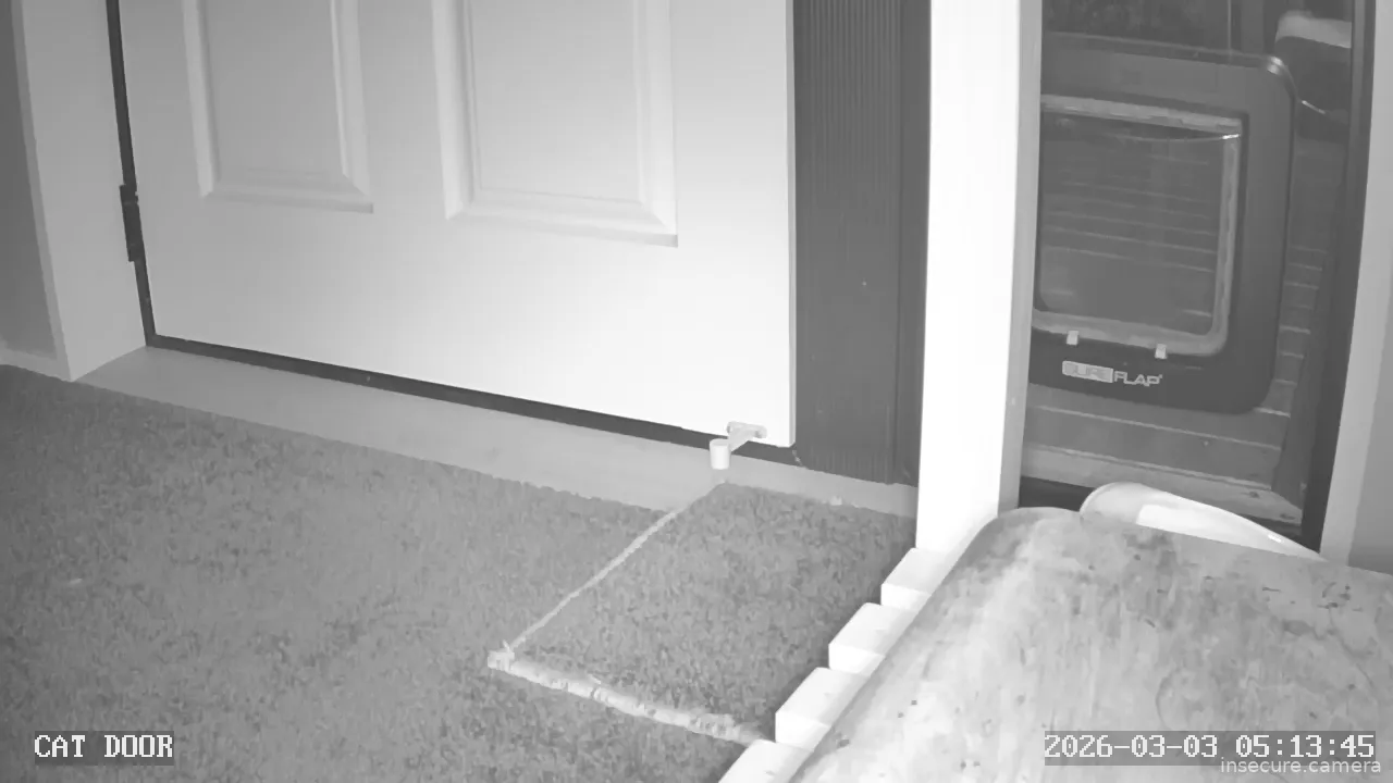 Camera in New Zealand