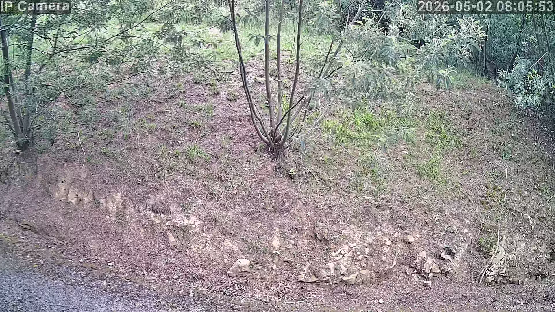 Camera in Spain