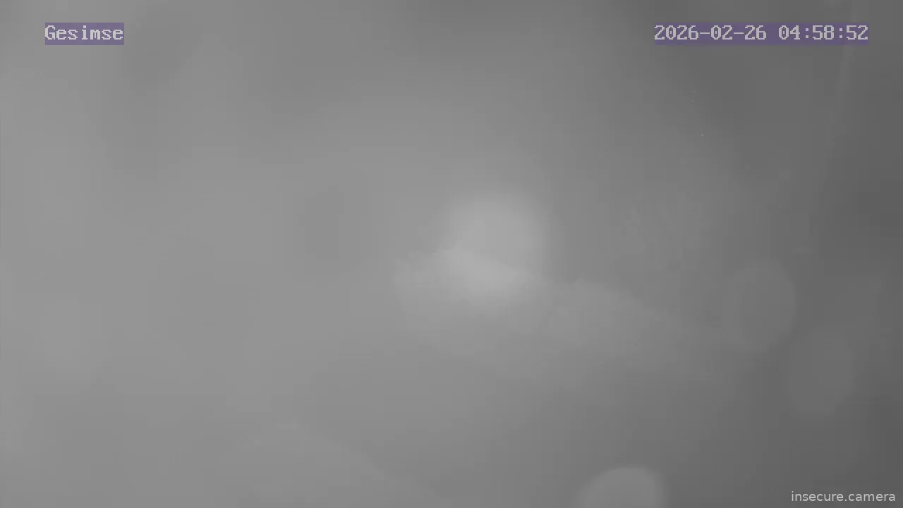 Capture from Feb 26, 2026 at 03:59 AM