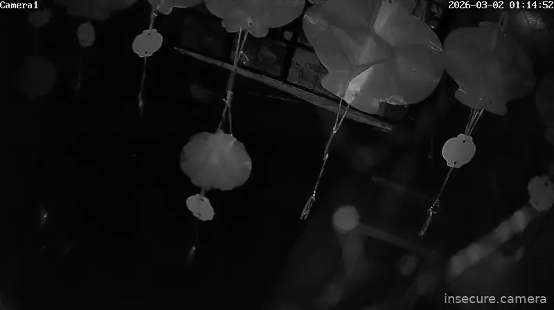 Capture from Mar 01, 2026 at 06:15 PM