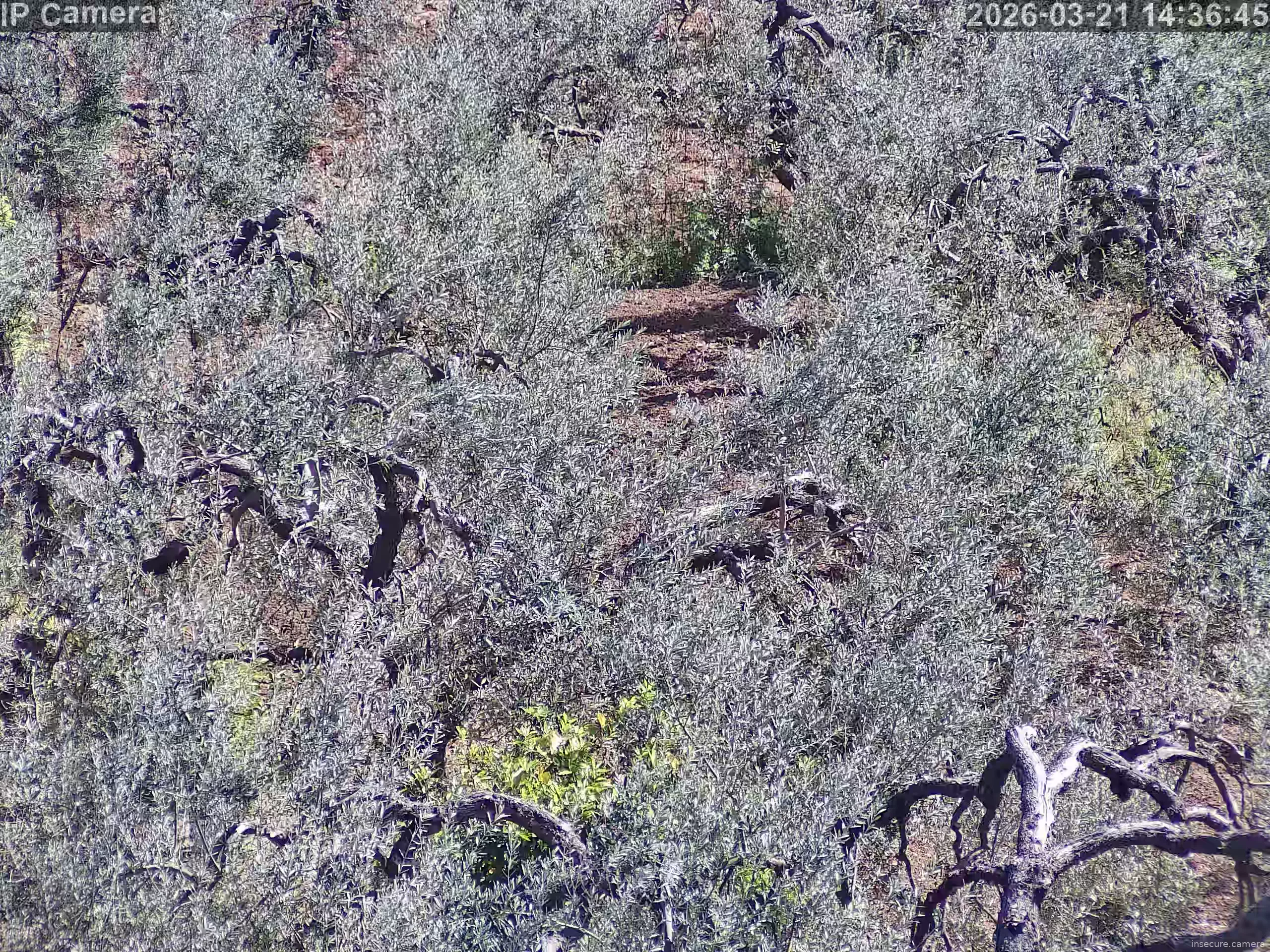 Capture from Mar 21, 2026 at 01:37 PM