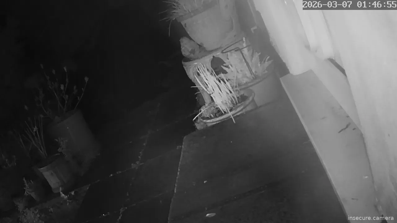 Camera in United Kingdom