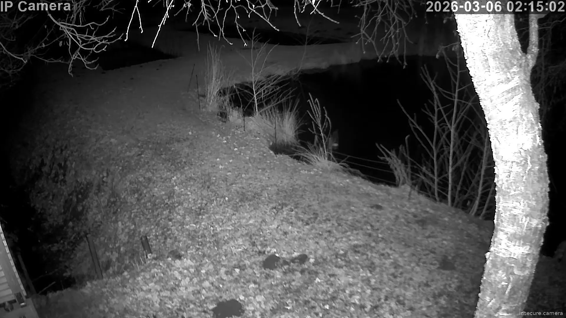 Capture from Mar 06, 2026 at 01:15 AM