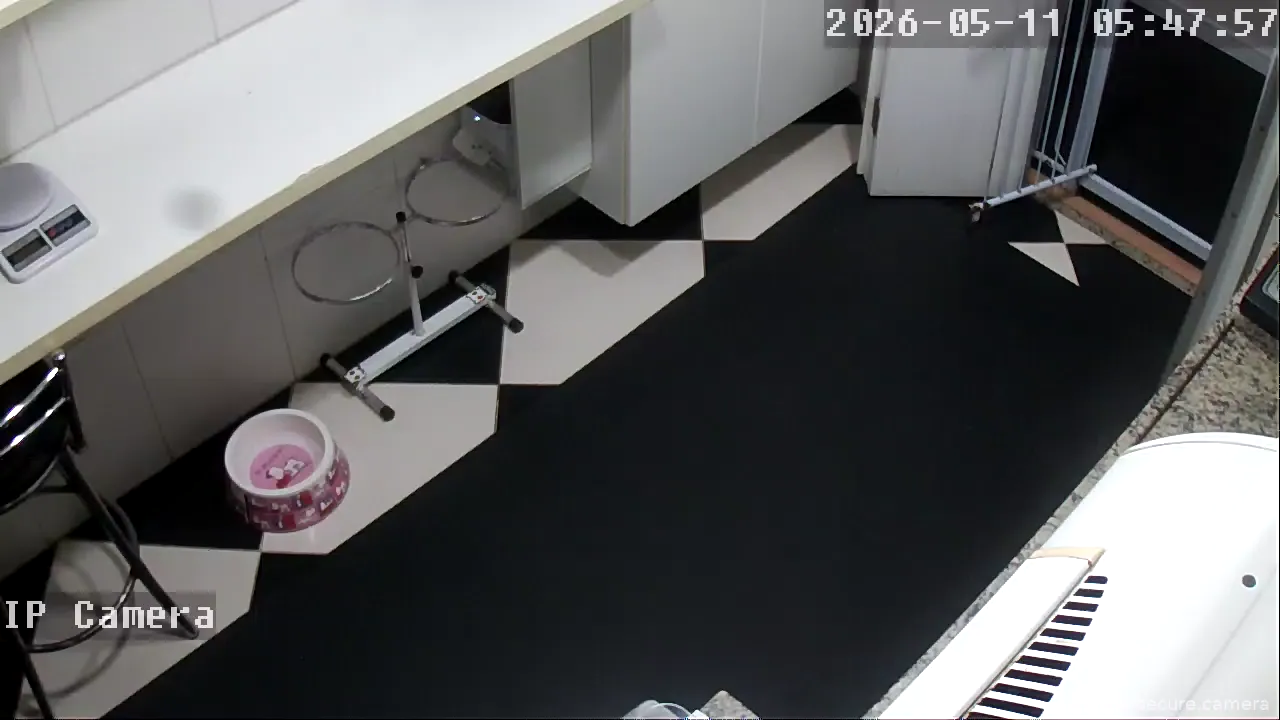 Camera in Brazil