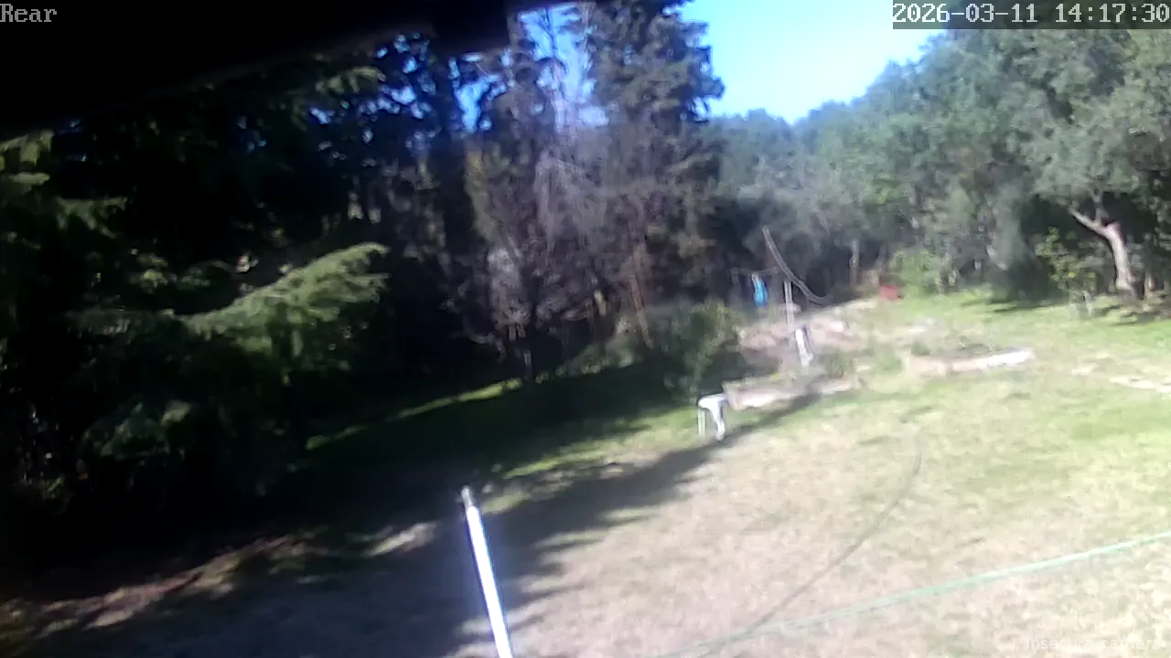 Capture from Mar 11, 2026 at 12:17 PM