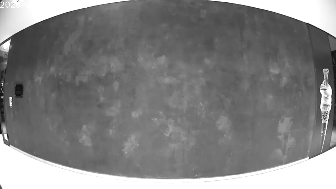 Capture from Mar 01, 2026 at 12:36 AM