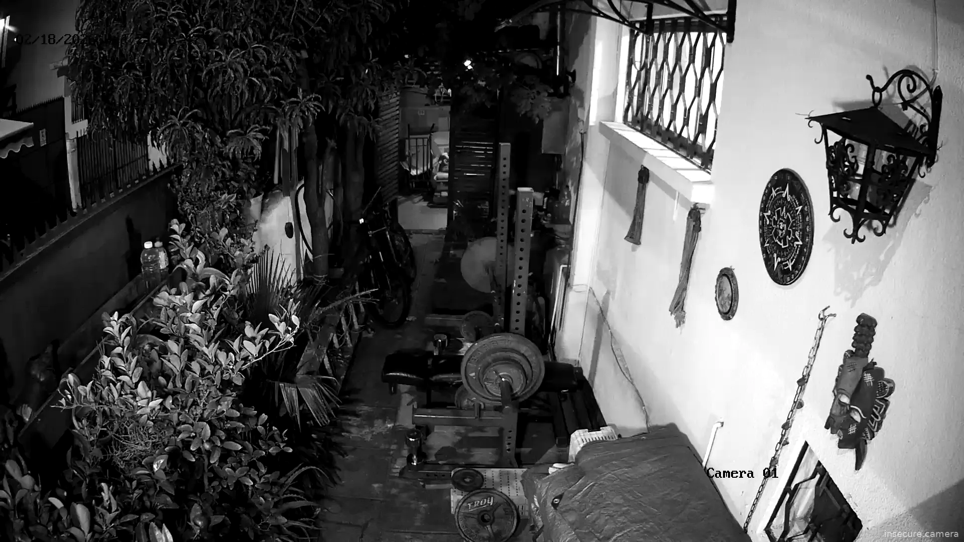 Capture from Feb 19, 2026 at 01:12 AM