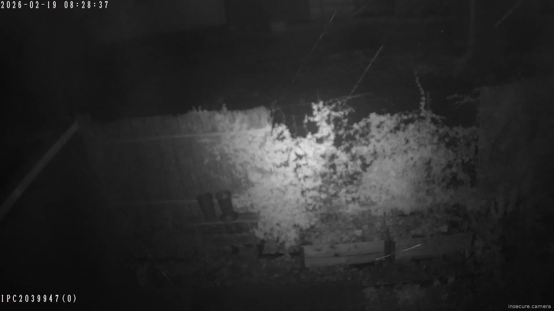 Capture from Feb 19, 2026 at 01:58 AM