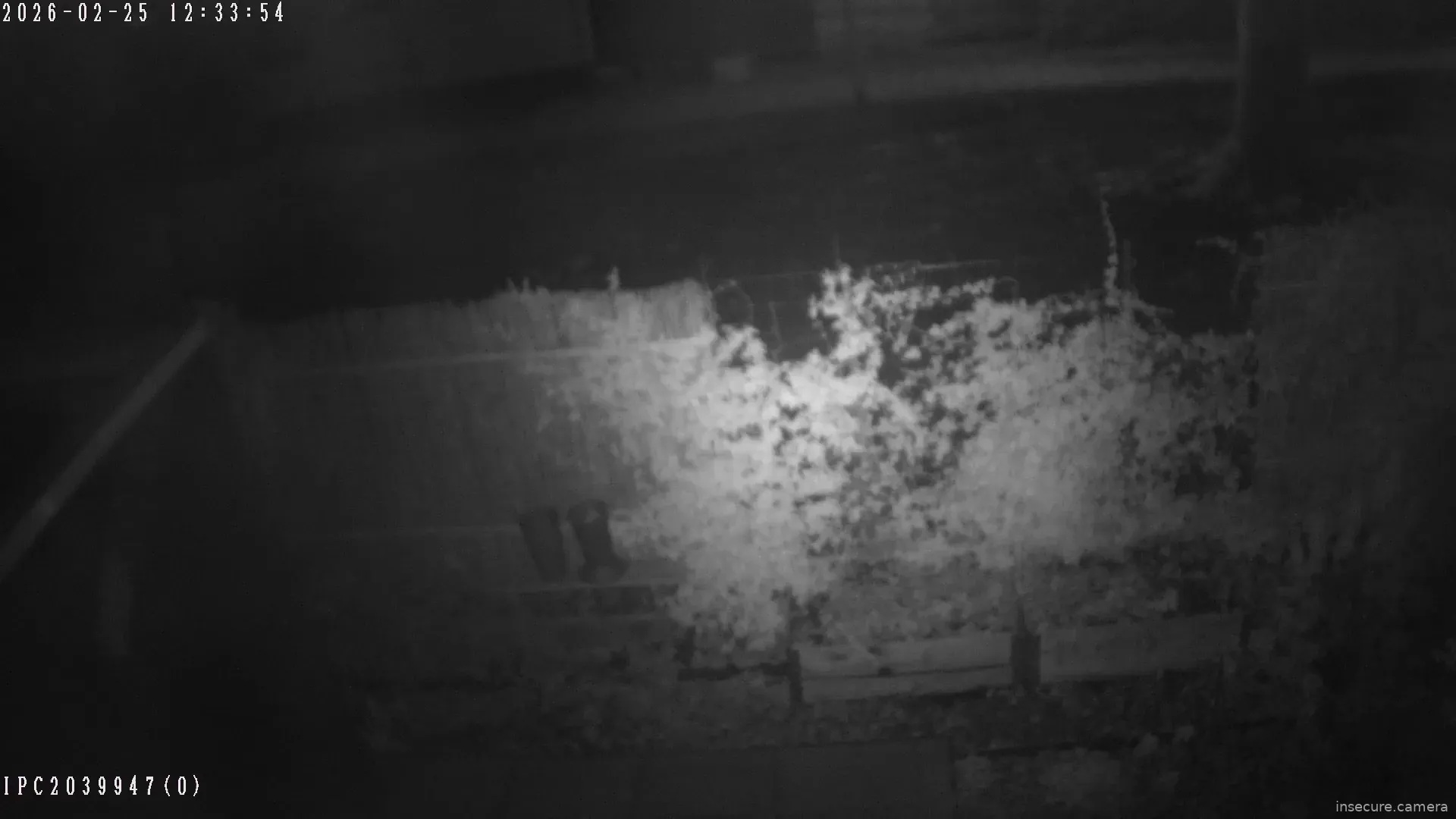 Capture from Feb 25, 2026 at 08:33 PM