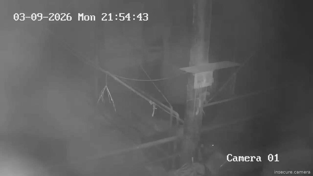 Capture from Mar 09, 2026 at 10:39 AM