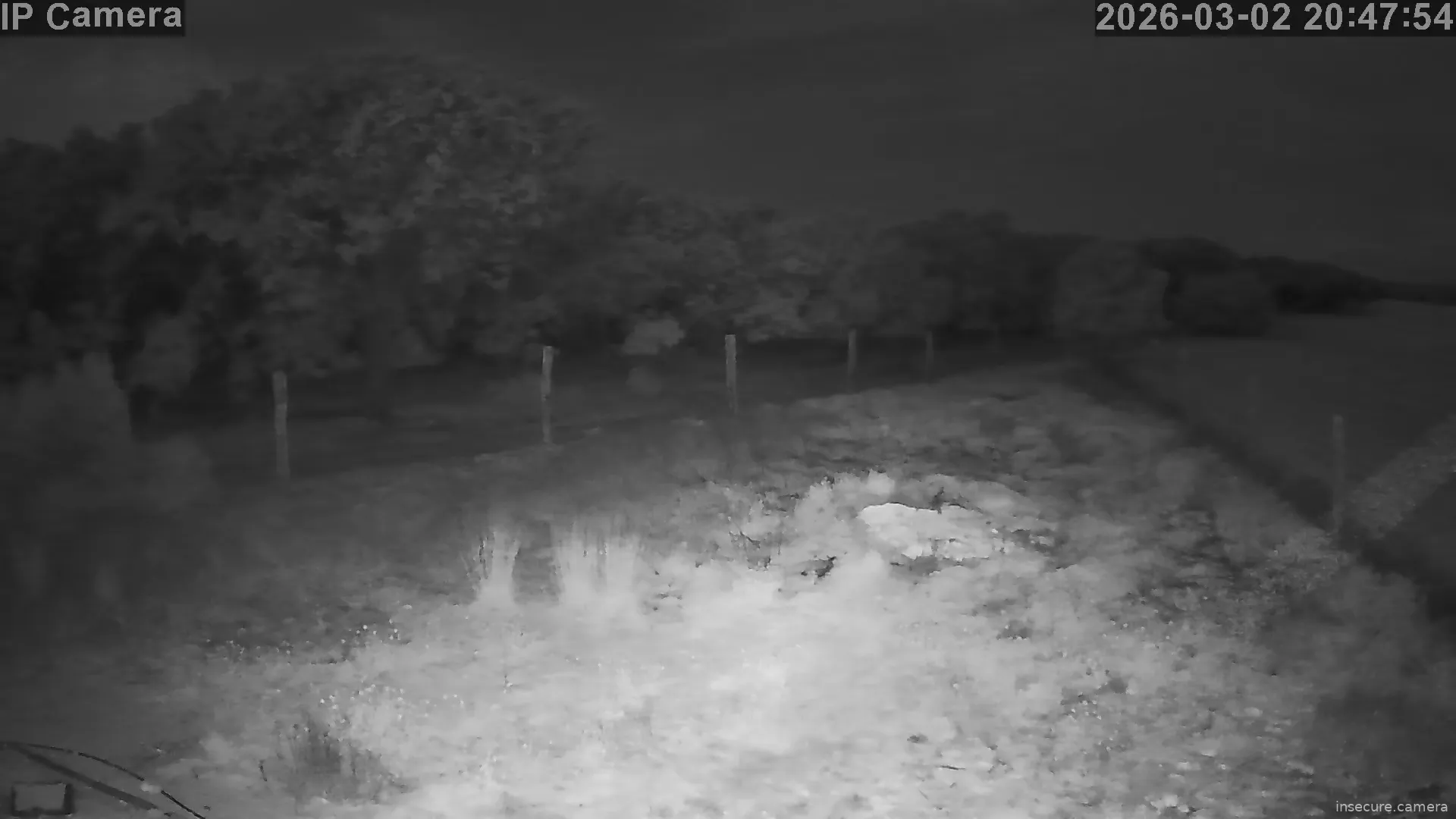 Capture from Mar 02, 2026 at 07:48 PM