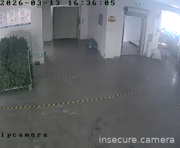 Camera in China