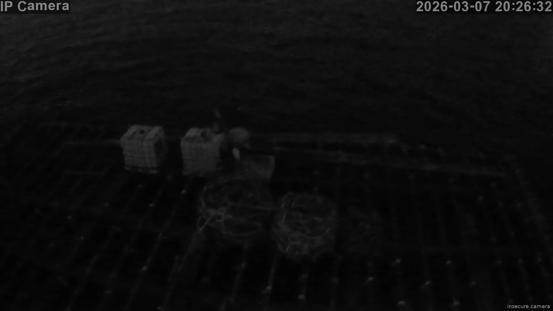 Capture from Mar 07, 2026 at 07:26 PM