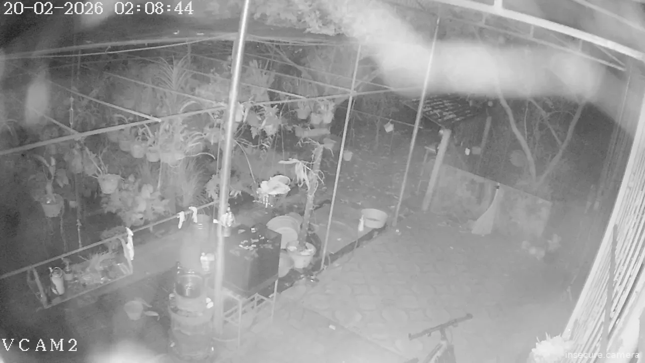 Capture from Feb 19, 2026 at 07:09 PM