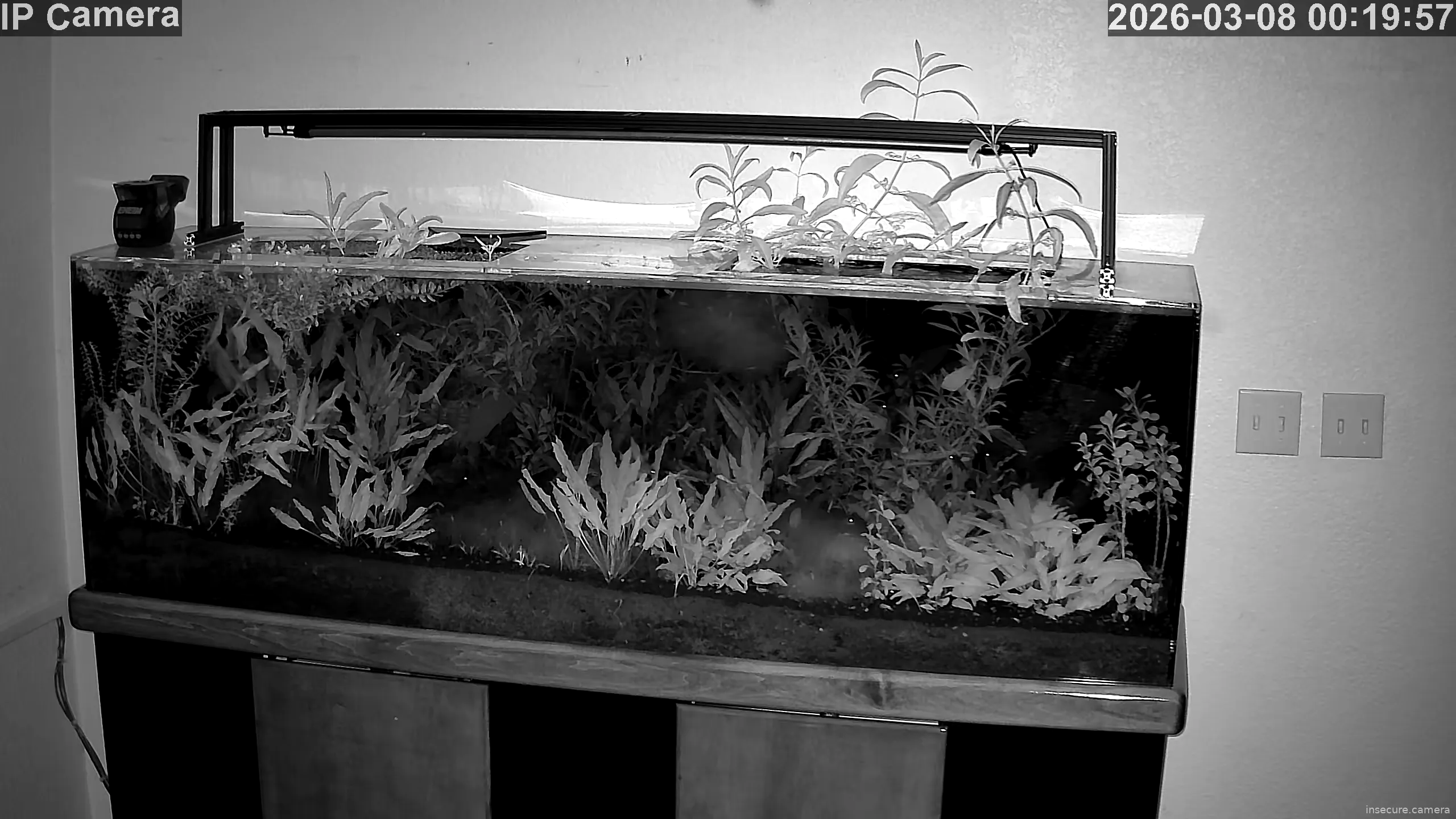 Camera in United States