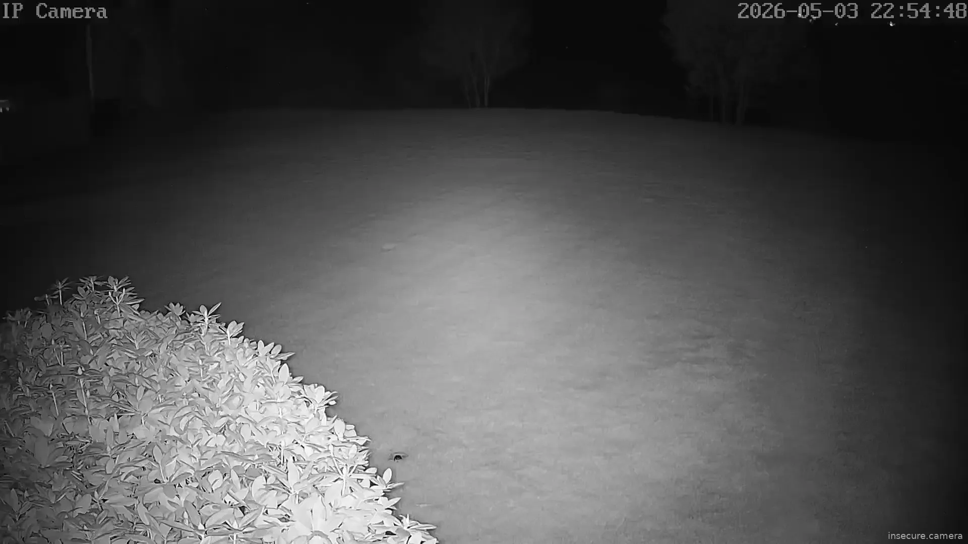 Capture from May 04, 2026 at 02:55 AM