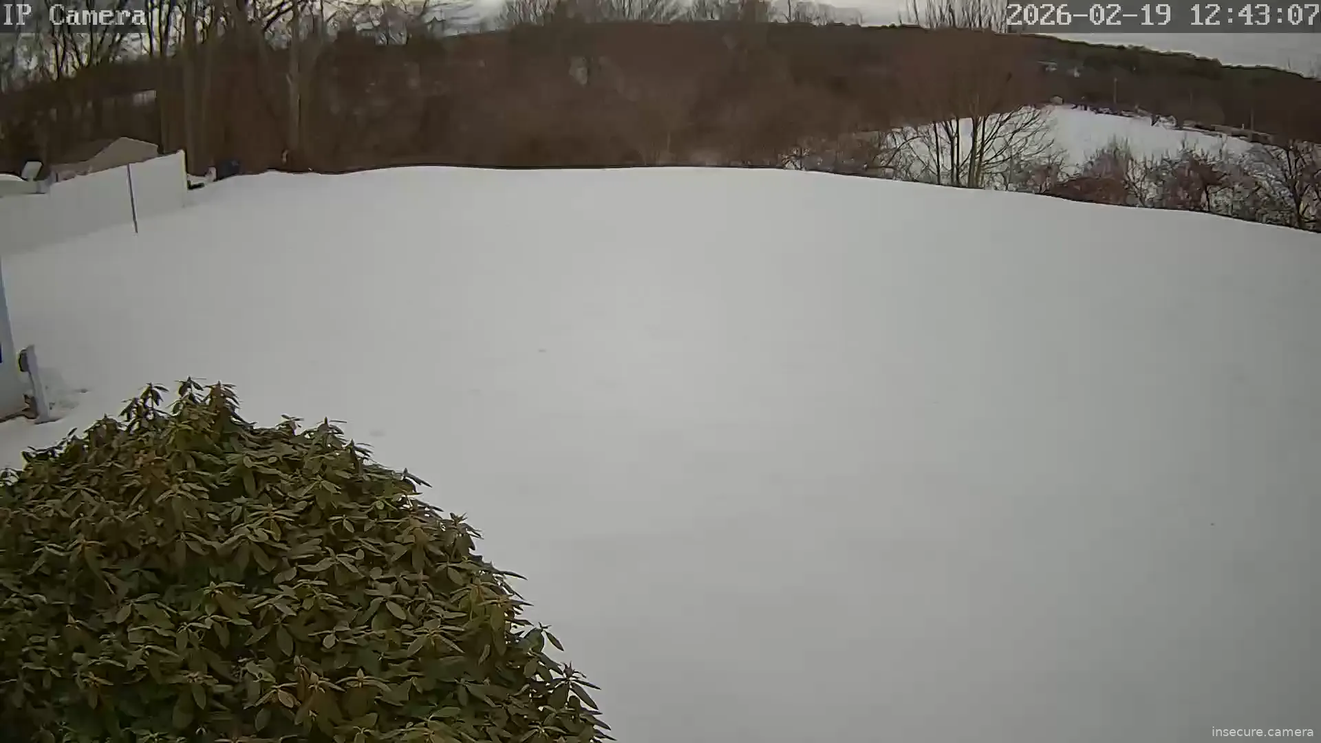 Capture from Feb 19, 2026 at 05:43 PM