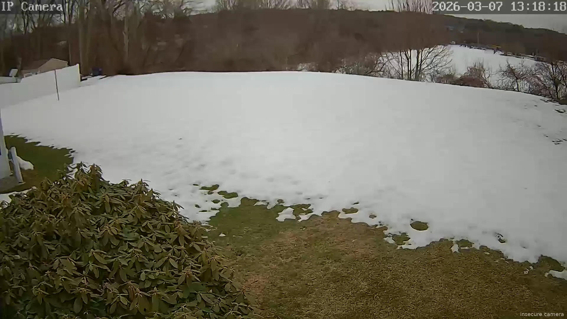 Camera in United States