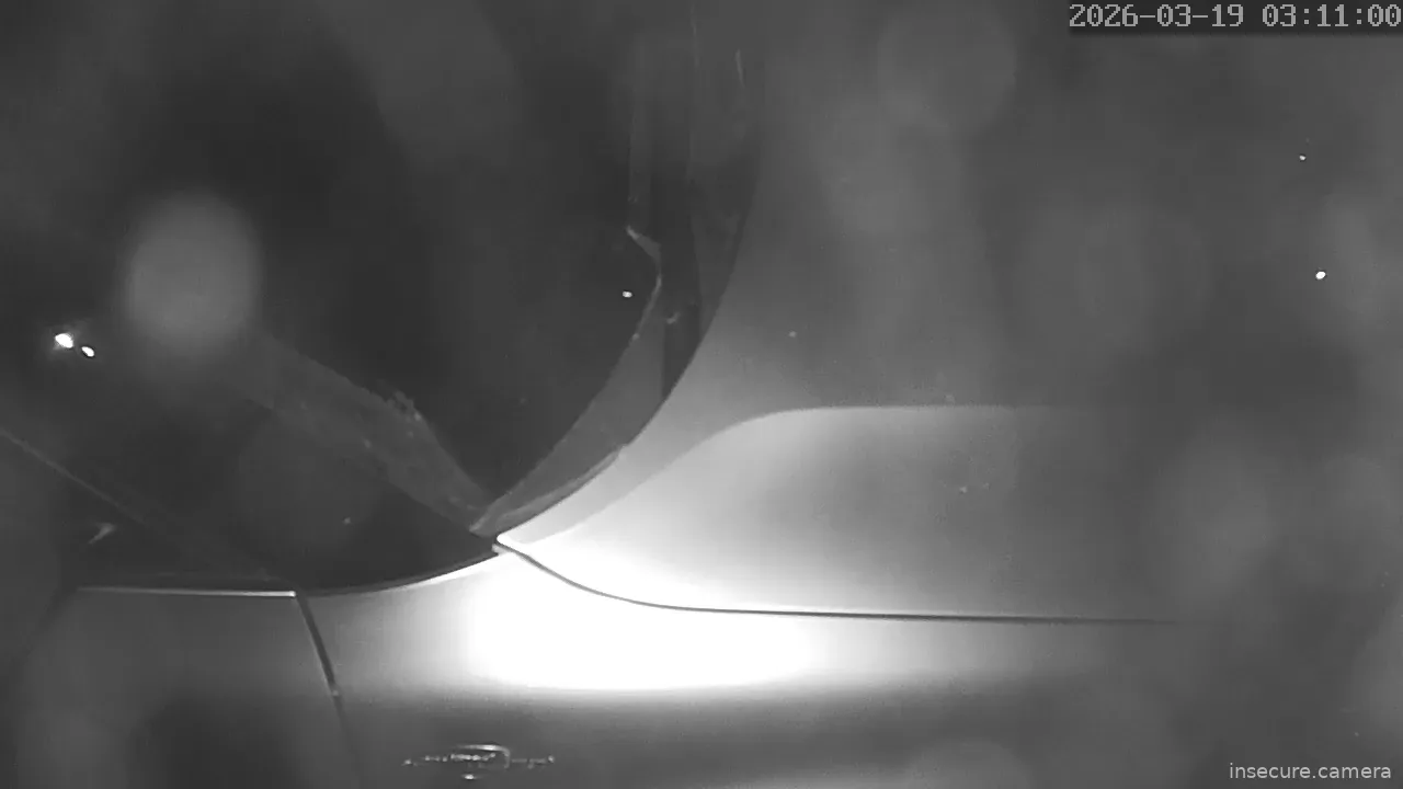 Capture from Mar 19, 2026 at 03:11 AM