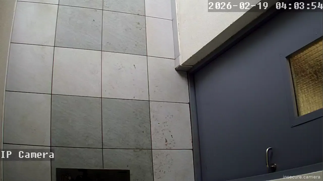 Capture from Feb 19, 2026 at 01:04 AM