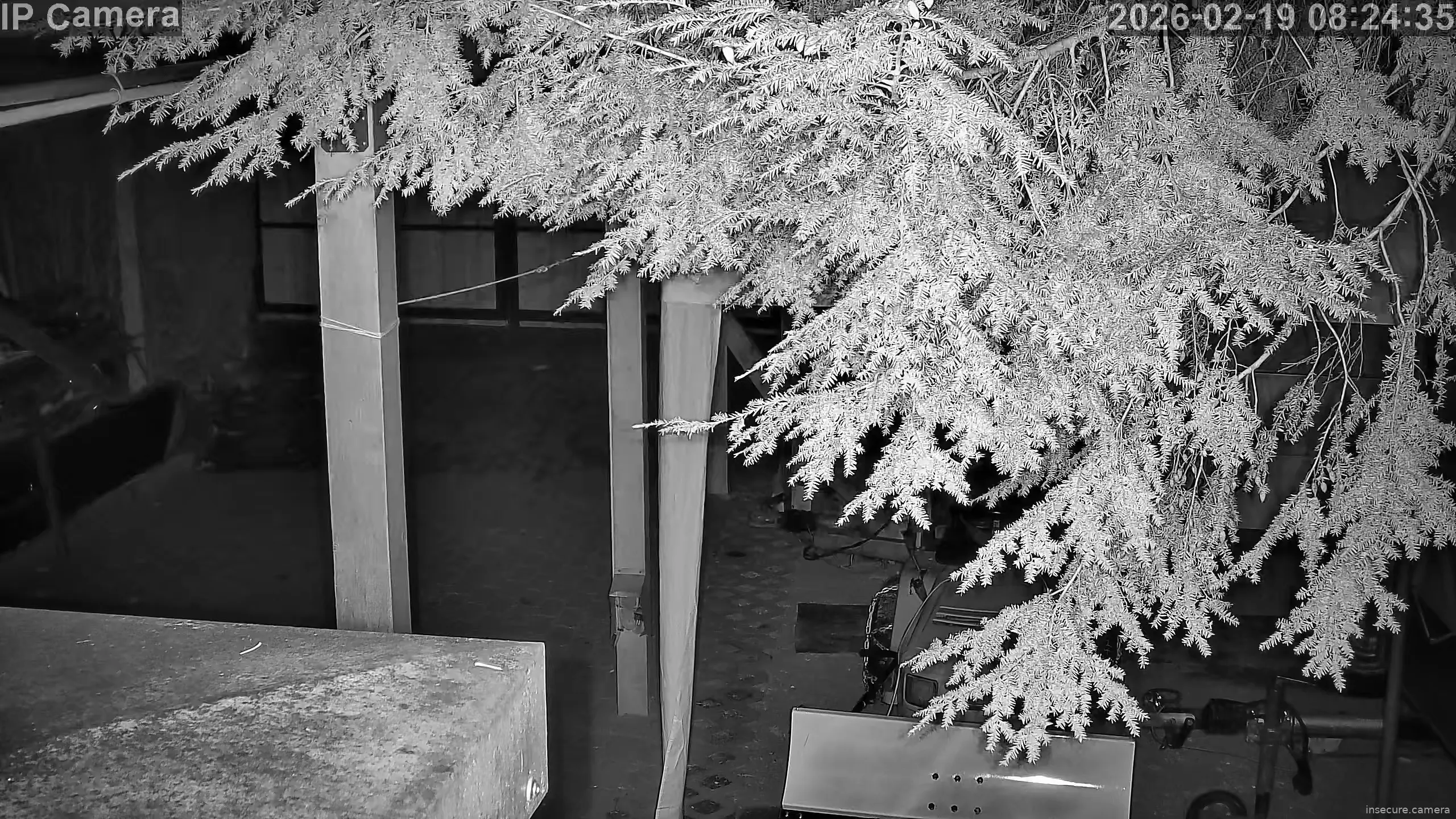 Capture from Feb 19, 2026 at 12:25 AM