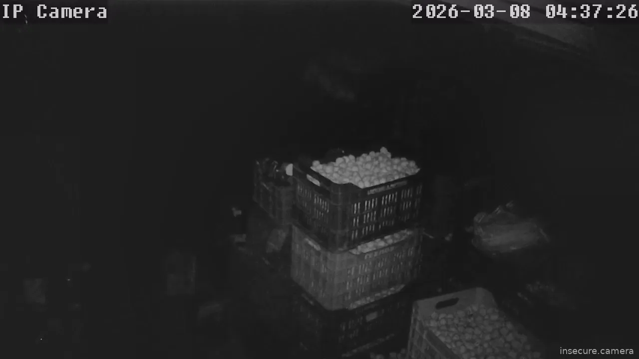 Capture from Mar 08, 2026 at 02:37 AM