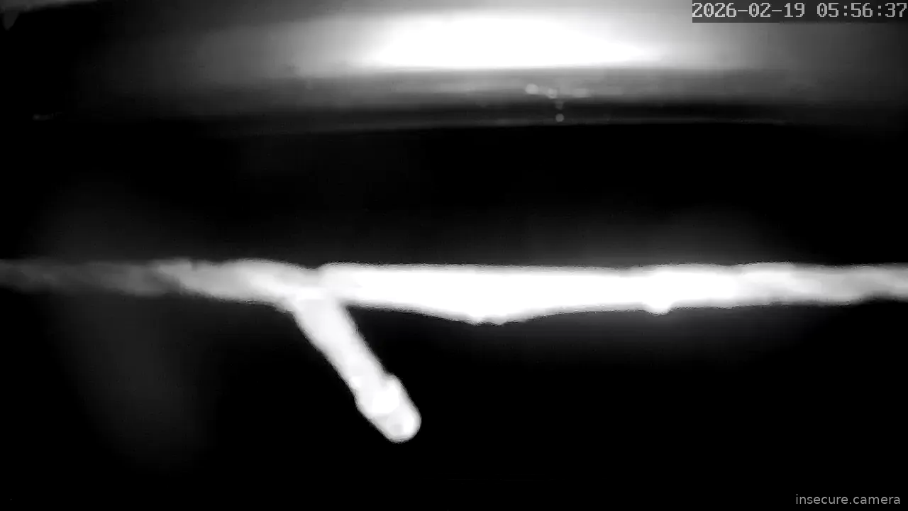 Capture from Feb 19, 2026 at 04:56 AM