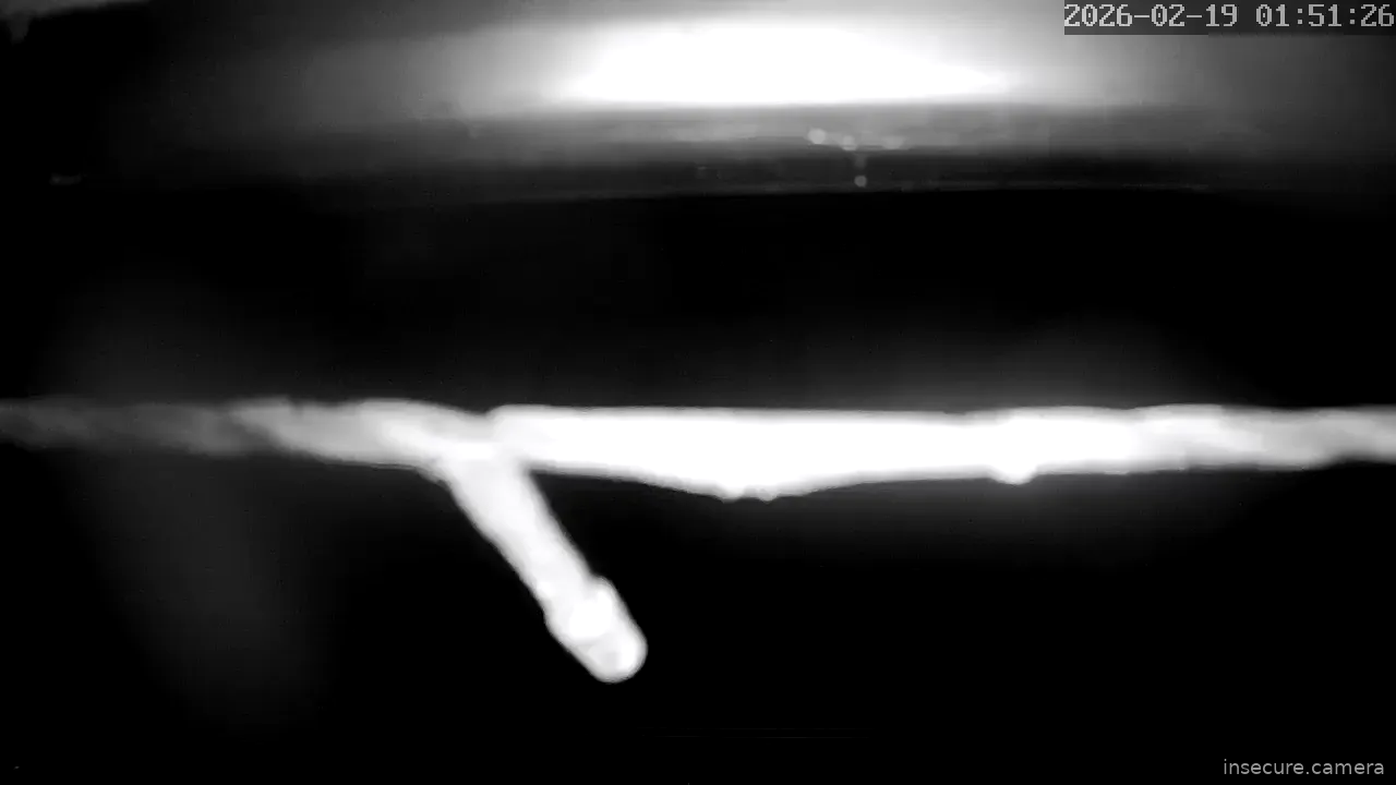 Capture from Feb 19, 2026 at 12:51 AM