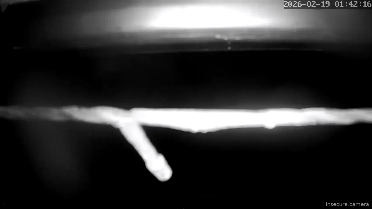 Capture from Feb 19, 2026 at 12:42 AM