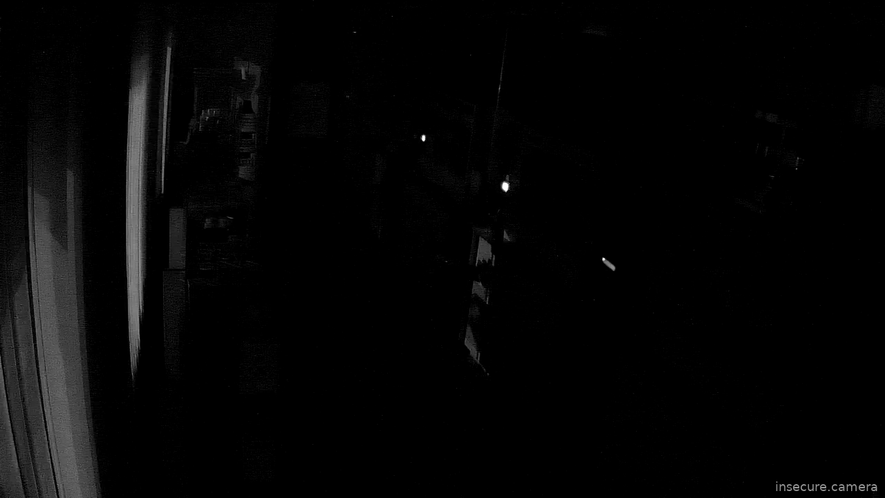 Capture from Feb 19, 2026 at 07:33 PM